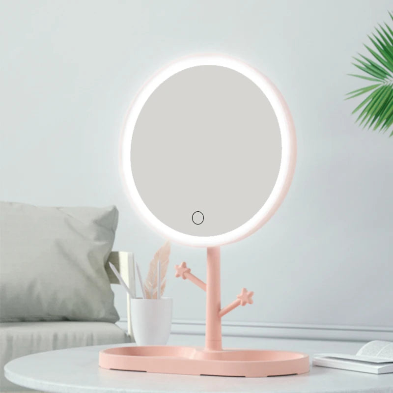 D2 LED Makeup Mirror With Light Ladies Makeup Lamp With Storage Desktop Rotating Mirror Round Shape Cosmetic Mirrors Girl Gift